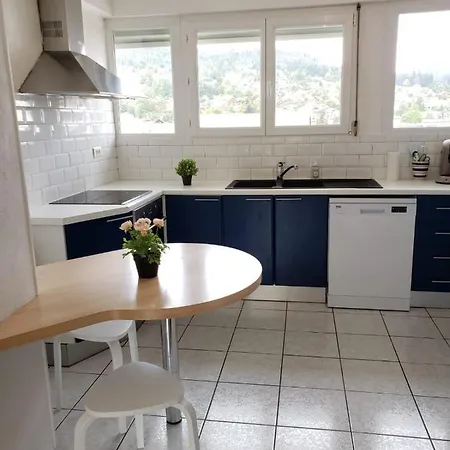 Apartman Le Petit Vosgien Gérardmer