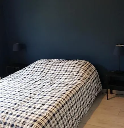 Le Petit Vosgien Appartement Gérardmer