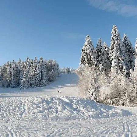 Le Petit Vosgien