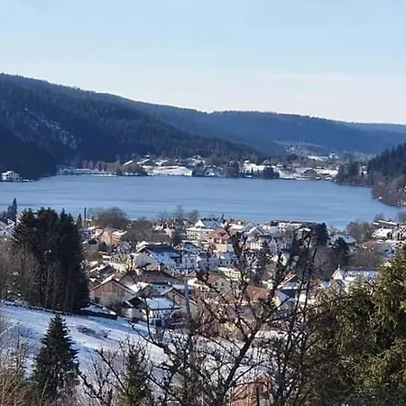 Le Petit Vosgien Appartement Gérardmer