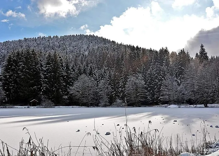 Apartmán Le Petit Vosgien Gérardmer